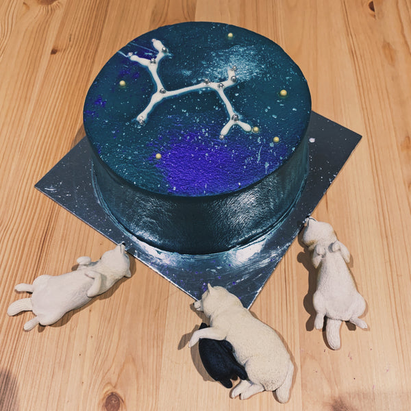 Zodiac Sign 星座