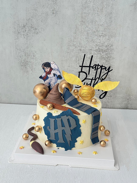 Harry Potter & Golden Snitch 哈利波特