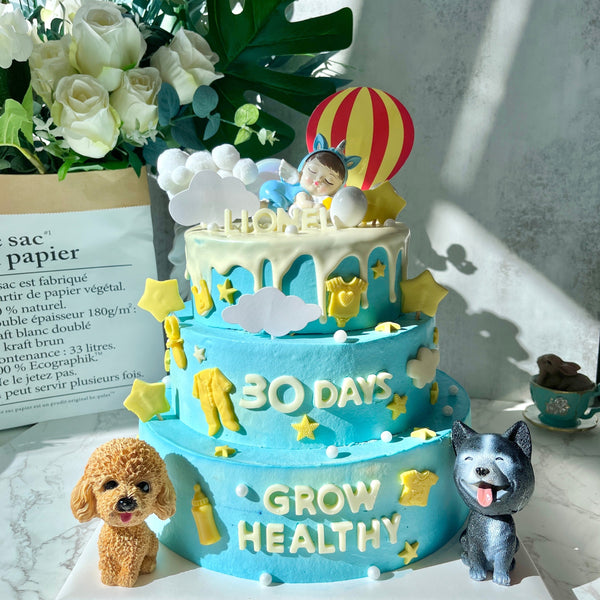 Baby Boy & Puppy 男宝宝与小狗狗(Cake topper might change)